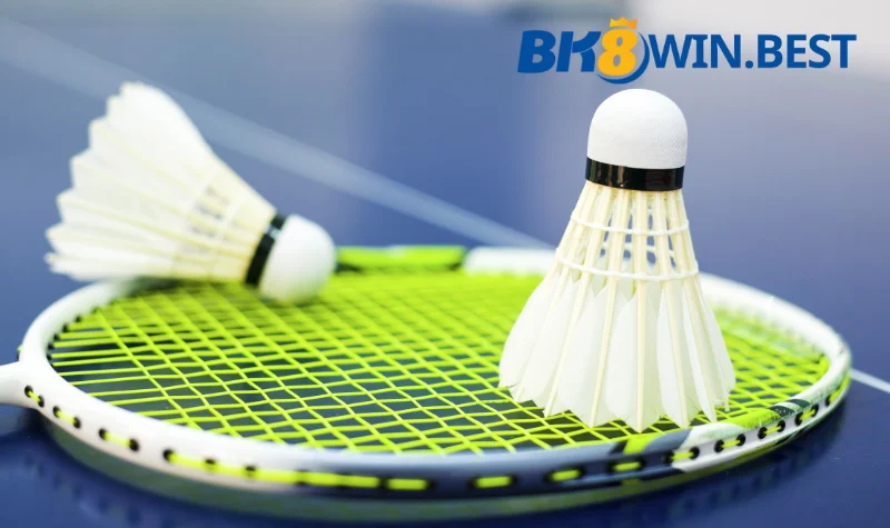 TOP 4 kèo cược cầu lông dễ thắng